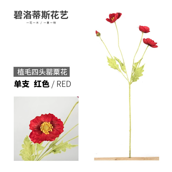 27766F-1545 Red