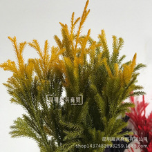 ������ ʯ�����~ �ɻ�������� ��ܛ�r���|��