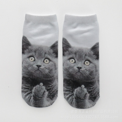 Новая кошка Unicorn 3d Firebird Flamingo Digital Printing Nops Женские мультфильм Unicorn Middle Finger Cat