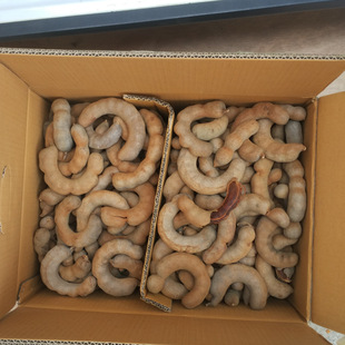 ���l����� ���� ��� ���� �󏝽� 18������ă� ��4��������