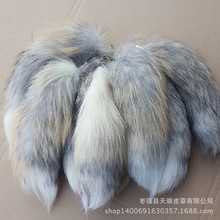 ����β�͒�����u����β��С��������������b����L�s25cm