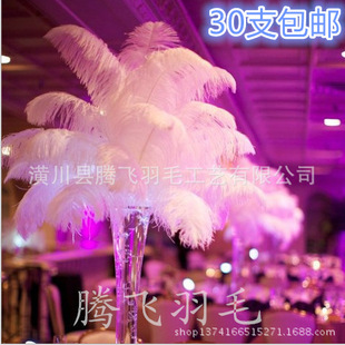 �S��ֱ�N45-50cm�r�B��ë��c�廨��ë����·����ë