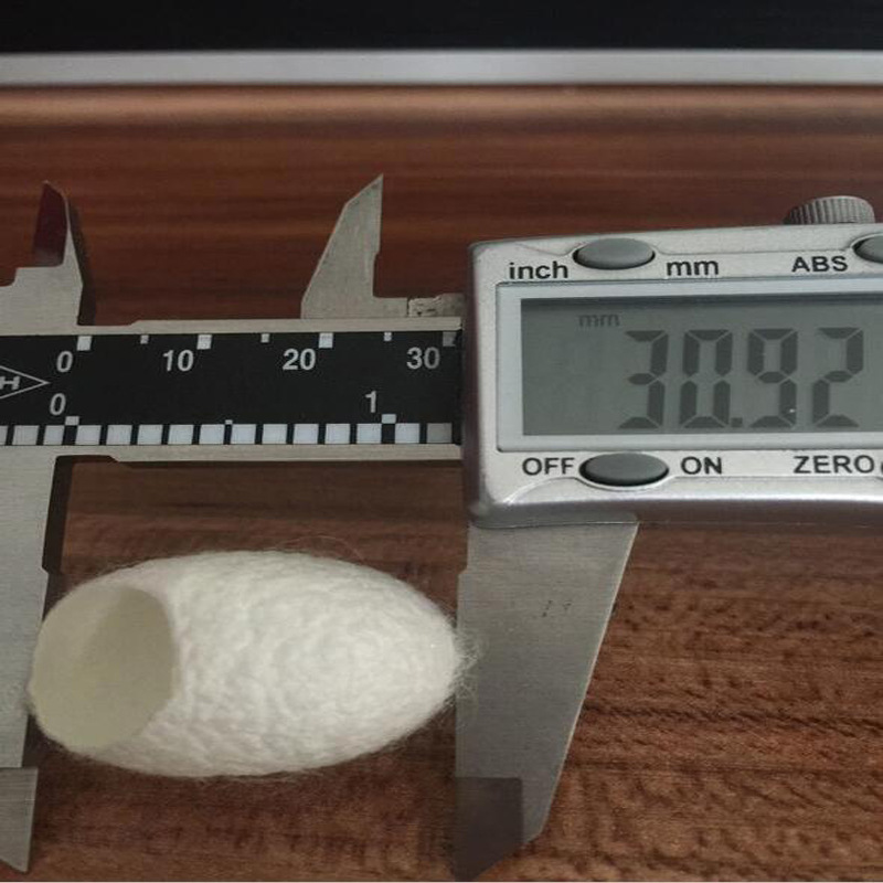 Fuente de suministro en stock Shenzhen capullo belleza capullo corte boca capullo Bola de seda 100 piezas un paquete con video