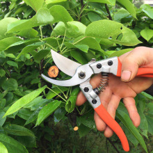 ���F��SK-5�๦�܈@�ֹ�����֦�� Z-230���Sɫ�B���Ͱ���ժ������