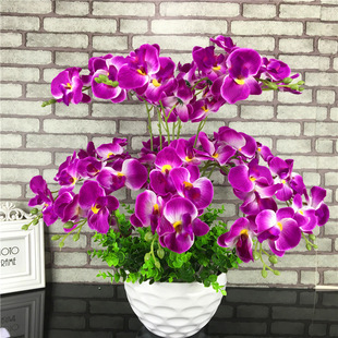����7������m���b�ٻ������͏d�[���b�ˇ�ҾӔ[�Ż�������