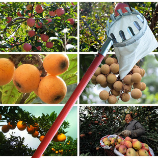 Metal fruit picker Agricultural Garden hardware tool fruit picker fruit hook portable high-altitude fruit picker