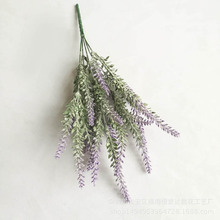 ����޹�²� ֲë��@�L���bѻ� ��c��������ɫ޹�²ݽz��