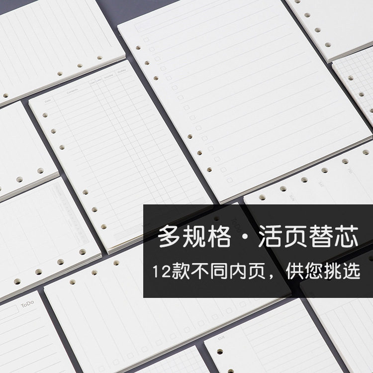 2029 A4A5B5 live page replace the inner core hand account notepad…