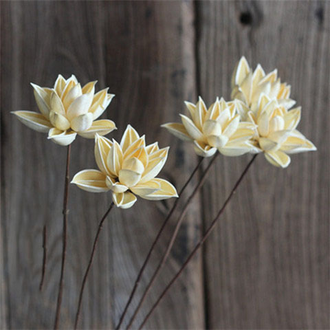 莲的心事木莲花紫荆花干花组合植摆设荷花拍摄道具艺术木莲花