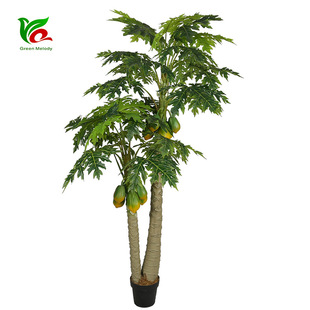 �|ݸ�G퍷���ľ�Ϙ� ľ�Ϲ�ֲ�� �߶˾Gֲ���l����ֲ��ľ������