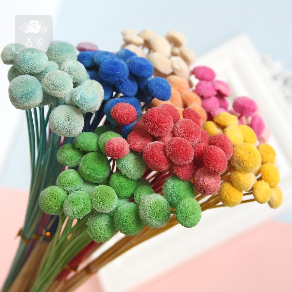 High Quality Dried Flower Button Chrysanthemum Immortal Flower Gift Box with Flower Material Dried Flower Household Flower-arranging Photo Props