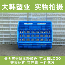 大韩35格牛奶箱酸奶筐玻璃筐分格豆奶周转箱饮料筐收纳筐塑料框