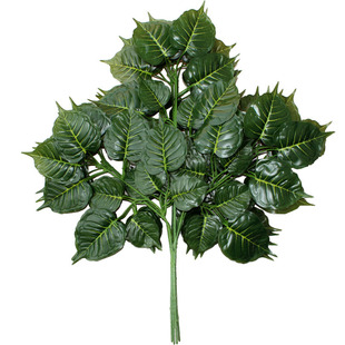 ����������~�^�z����~�z�~�����~�Ӽ٘��~�����~���֦�٘�֦