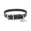 Shining rhinestone pets Small and medium -sized jewelry collars PU imitation leather dog traction rope cross -border hot sales