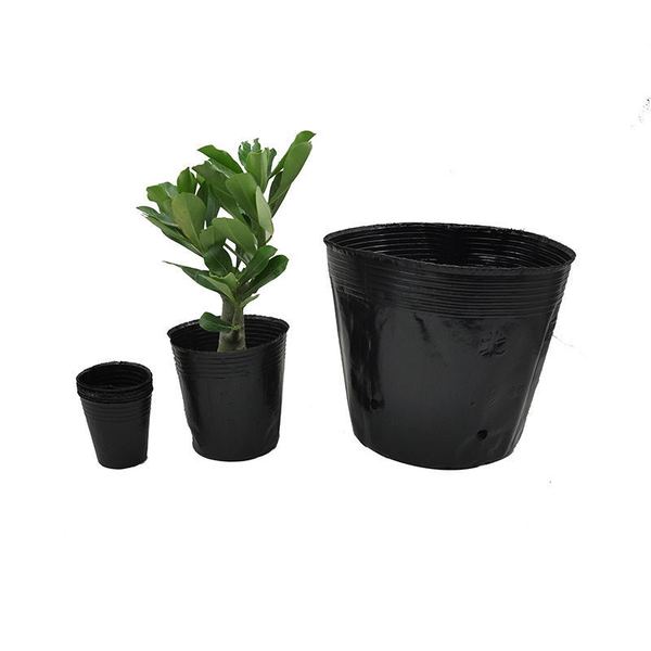 Black disposable plastic big tea cup