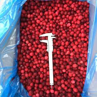 �����Խݮ���Y�|���S�����깩؛��