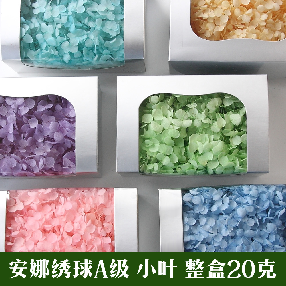 Anna Hydrangea Preserved Flowers Preserved Rose Gift Box Flower Materials Dried Flowers Preserved Flowers Preserved Flower Materials