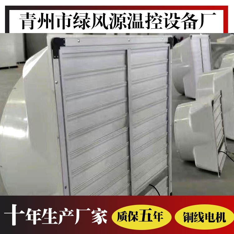 玻璃钢负压风机玻璃钢 工业厂房通风换气扇 厂家直销负压风机