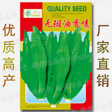 450克:无班油香唛种子|宁夏香油麦 广东油香麦 香麦 蔬菜种子批发