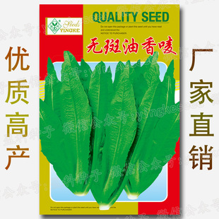 450��:�o������O�N��|���������� �V�|������ ���� �߲˷N�����l