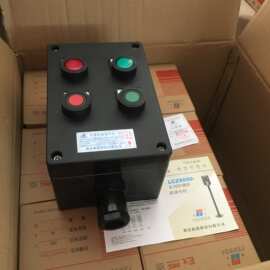BZC8050防爆防腐操作柱 塑料防腐壁挂式2灯2钮防腐控制箱工厂批发
