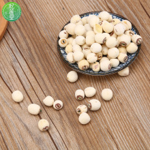 ������ɏ500�� ���x���wĥƤ��о��ɏ���Ҝ��r�aƷ��؛�S�����l