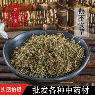 中草药批发 鹅不食草 食胡荽鸡肠草 俗称鹅不食 量大价格从优