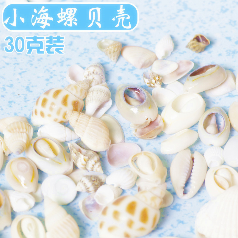 Ocean wind simulation cream glue accessories shell diy material hundred meter snail small conch handmade decoration Ocean wind simulation cream glue accessories shell diy material hundred meter snail small conch handmade decoration