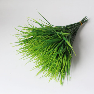 ����ˮ�� 7�����Ϸ����m���� �廨��� �b�ֲ�� ���滨�����l��