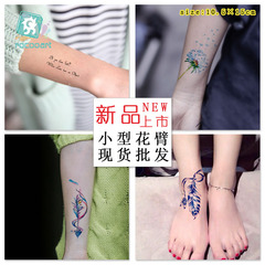 跨境防水紋身貼紙 個性羽毛圖案小花臂紋身貼 彩色捕夢網紋身貼