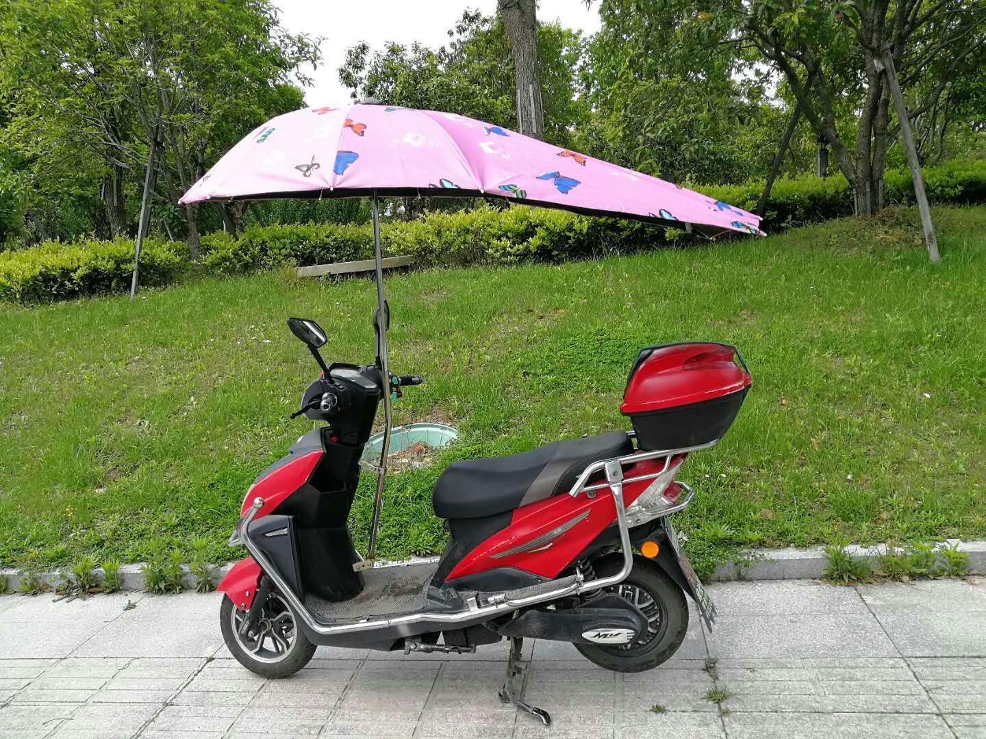 Directo de fábrica de vinilo de mariposa coche eléctrico paraguas batería coche cola de milano paraguas plegable sombrilla al por mayor