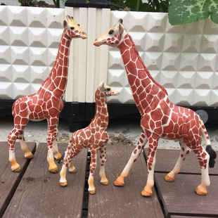 �������ģ����� �L�i¹ģ��6�� ����@�ƽ�������� �ҾӔ[��