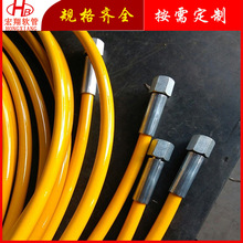 ppŸ߉֬ 䓽zҺܛ ߉֬Һܛ