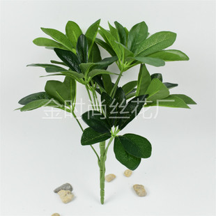 ����9������ľ �����~ �廨����G������ֲ��b� �Gɫ���_ľ