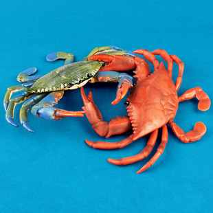 ���Q����������ģ�͌����з�{�_з���ͯȤζ����������l