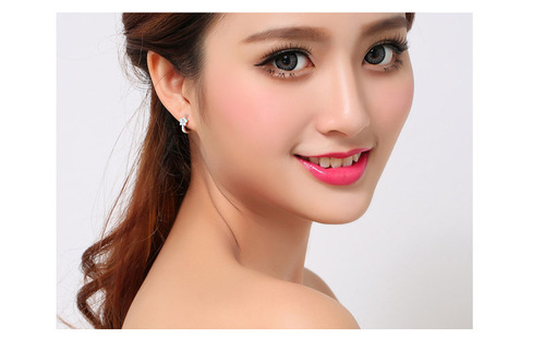 Korean Fashion Butterfly Earrings Simple Diamond Earrings Zirconia European and American Ear Jewelry Drop Shipping from Source Manufacturers