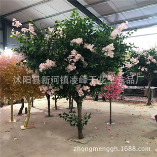 ���l����ѻ����Ř��g��������S��̈�Ӱ�ǻ�c�����b٘�