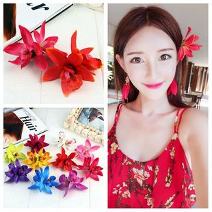 �羳�p��ޥ�m����l�A�ļ�����lily��߅�A�^����ׁ��ȼ��^��Ů