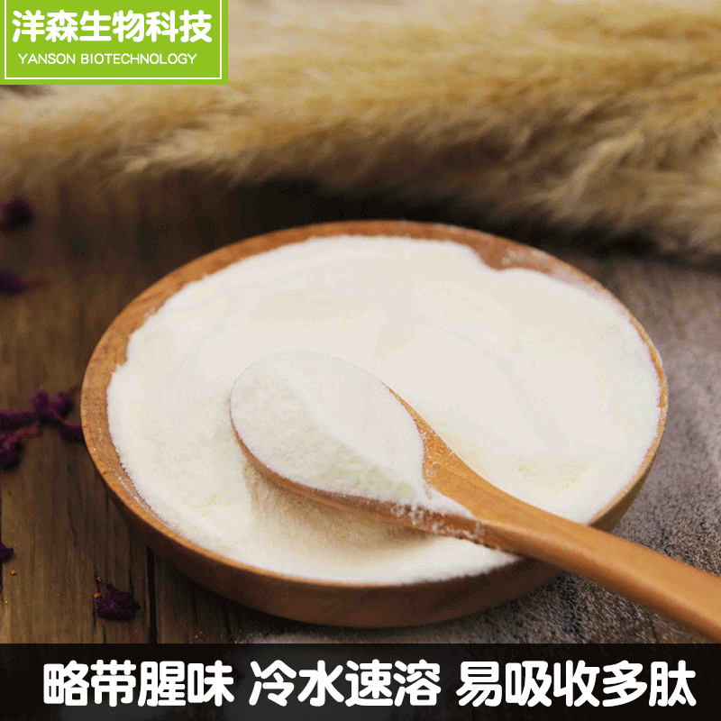 �¹�������GELITA���ڽ�ԭ���׷�ά����VERISOLFBPˮ��С����