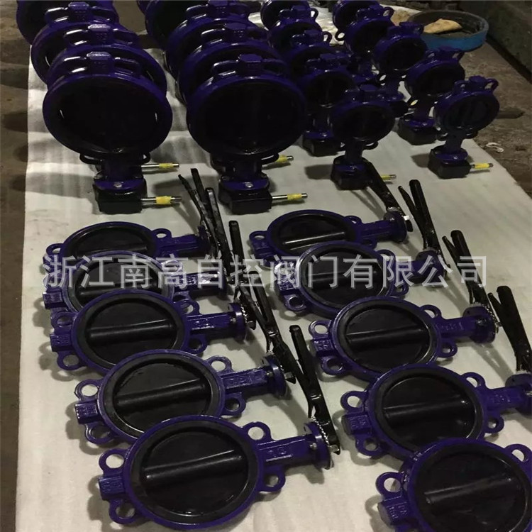 D371X-10Q DN250 球墨铸铁蜗轮对夹蝶阀