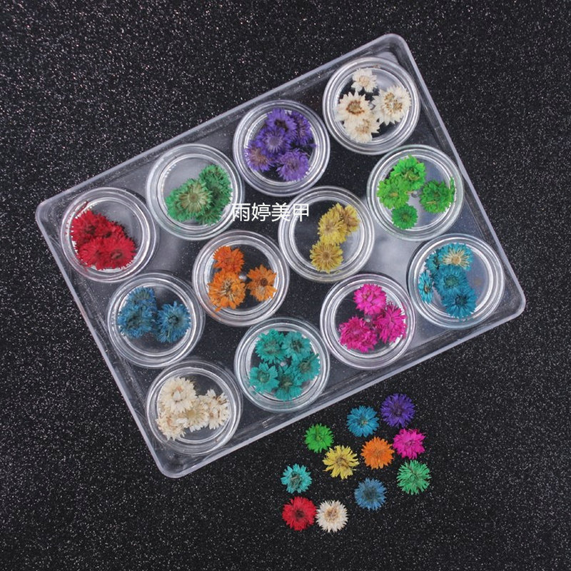 Manicure dried flower manicure supplies real flower three-dimensional dried flower decoration sunflower 12 colors/set Wholesale