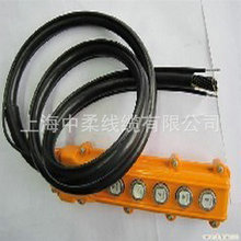 電動葫蘆控制雙鋼絲移動手柄電纜