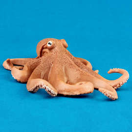 外贸新款八爪鱼海洋生物模型仿真章鱼实心塑胶海底总动员玩具摆件