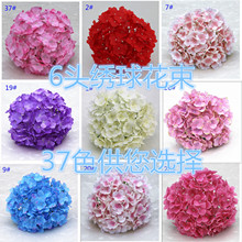 ���򻨷��潑������Y�����廨·����6�^����ѻ�