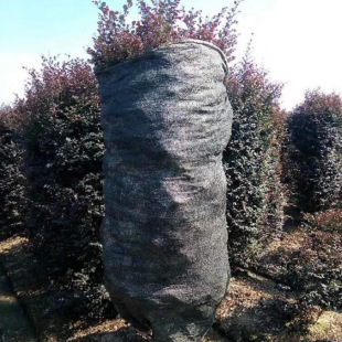 ��ľ �G������ �@�� �t���^ľ�� ��Ҏ�� ���ع��� Ʒ�|������ľ��