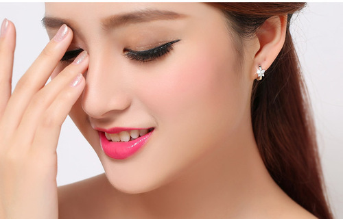 Korean Fashion Butterfly Earrings Simple Diamond Earrings Zirconia European and American Ear Jewelry Drop Shipping from Source Manufacturers