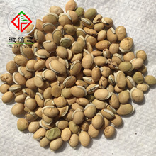 �����h����ș�İױⶹ���a�ױⶹ���ذױⶹ�Ĵ����ױⶹ