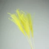 Yellow (1 bunch of 10 branches)