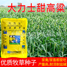 پG ʿN ߮a Ã|ݷN