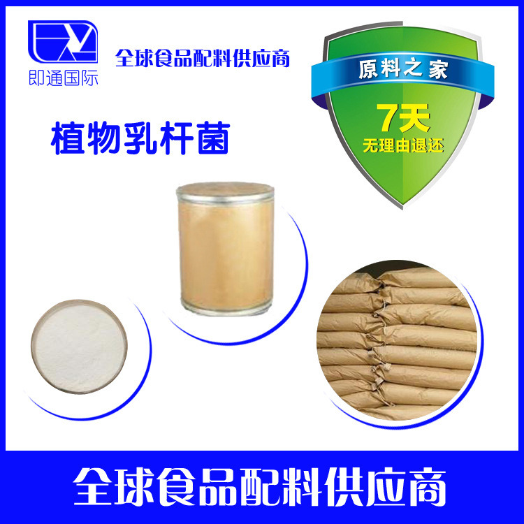 供应 500亿/1500亿植物乳杆菌 量大优惠 欢迎选购。